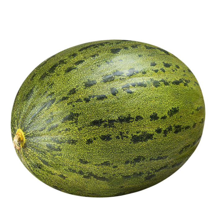 Melón